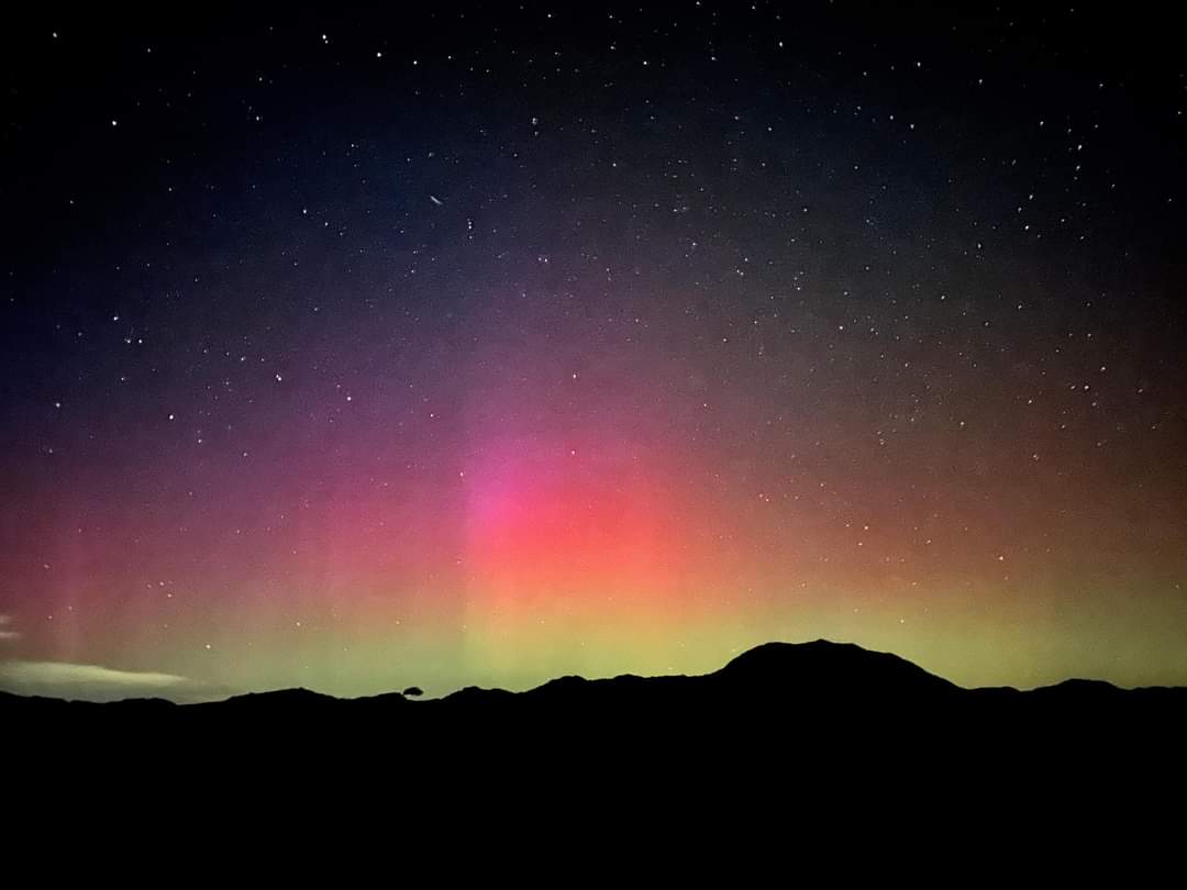 FB_IMG_1701466506222